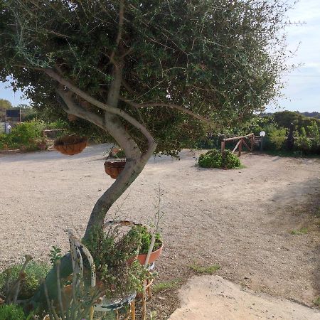 Casa Eroma Bed and Breakfast Cuili Issi Εξωτερικό φωτογραφία