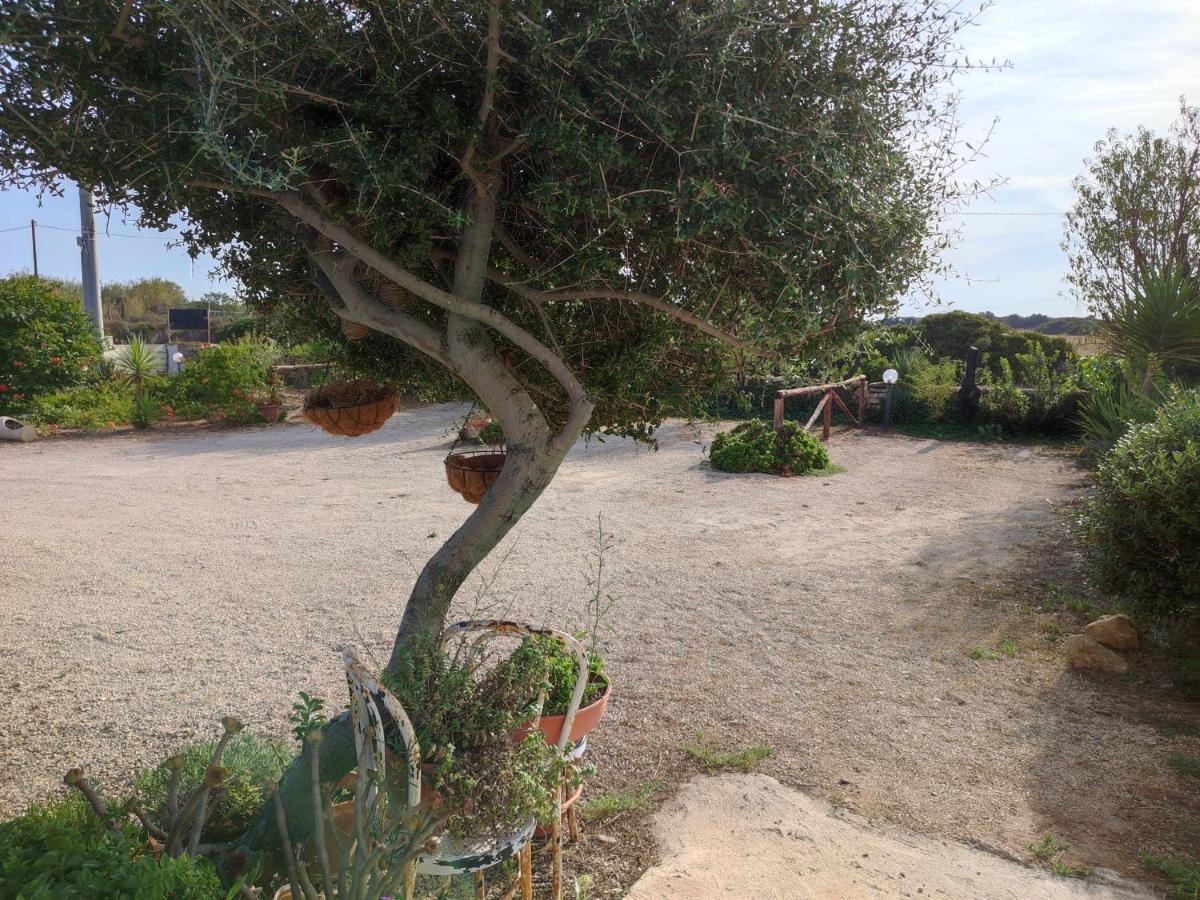Casa Eroma Bed and Breakfast Cuili Issi Εξωτερικό φωτογραφία